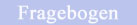 G�stefragebogen